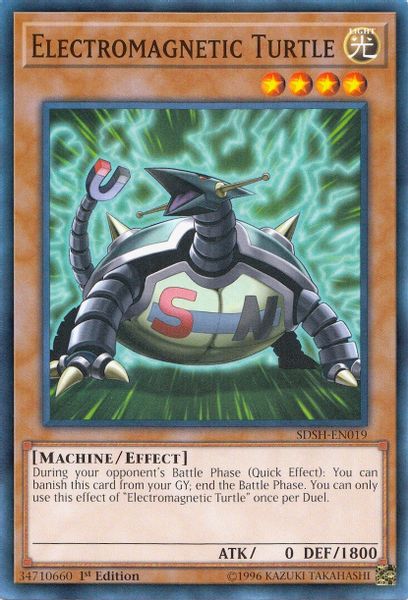 Electromagnetic Turtle