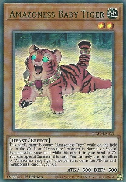 Amazoness Baby Tiger