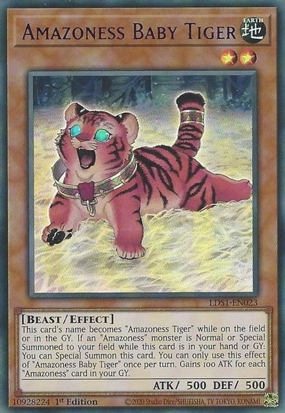 Amazoness Baby Tiger