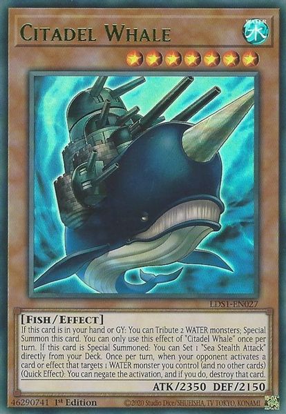 Citadel Whale