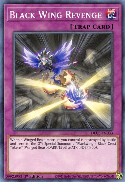 Black Wing Revenge