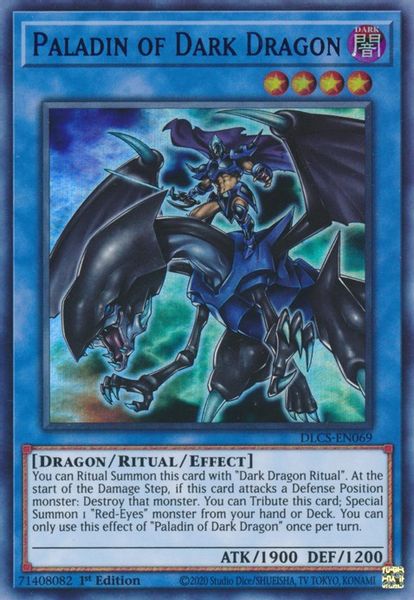 Paladin of Dark Dragon