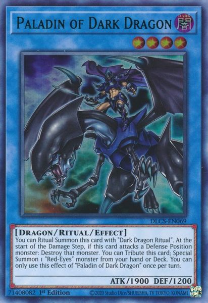 Paladin of Dark Dragon