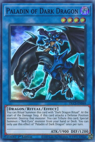 Paladin of Dark Dragon