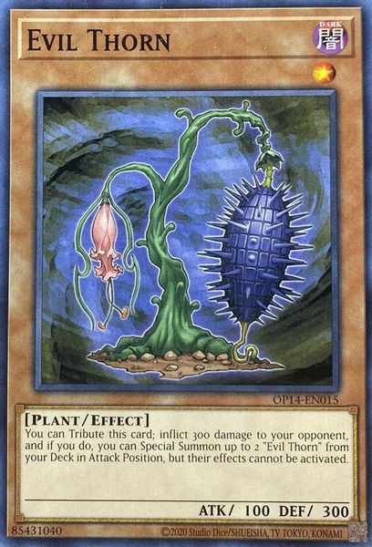 Evil Thorn