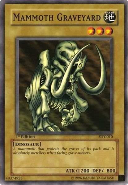 Mammoth Graveyard
