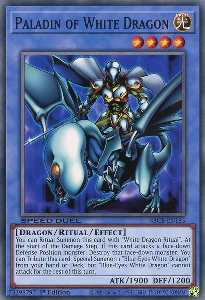 Paladin of White Dragon