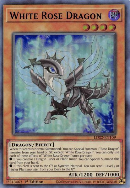 White Rose Dragon