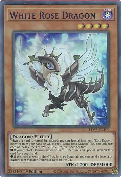 White Rose Dragon
