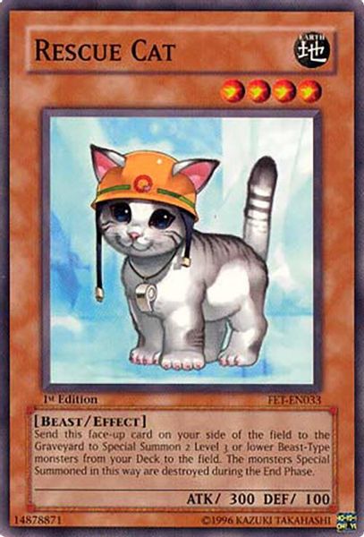 Rescue Cat