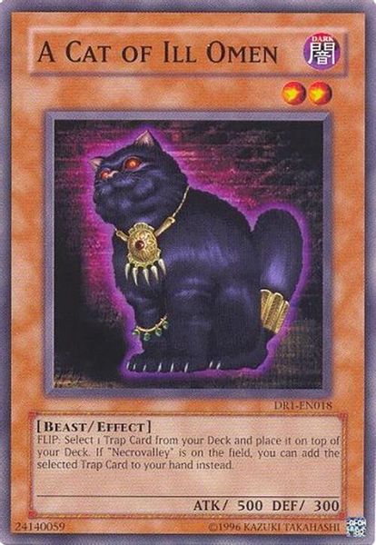 A Cat of Ill Omen