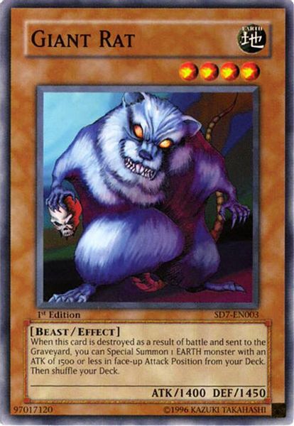 Giant Rat