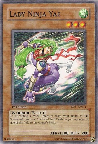 Lady Ninja Yae