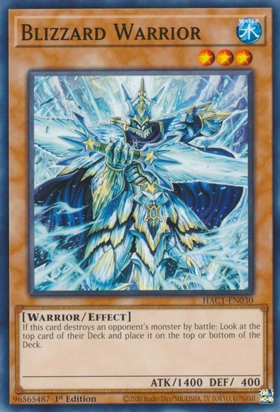 Blizzard Warrior