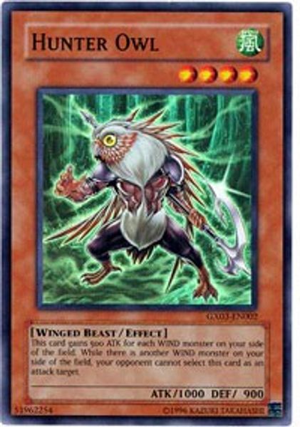 Hunter Owl