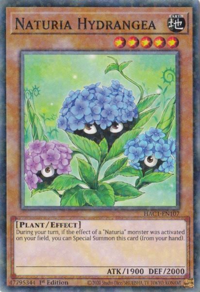 Naturia Hydrangea