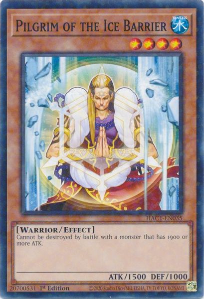 Pilgrim of the Ice Barrier