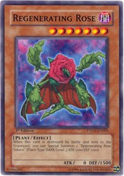 Regenerating Rose