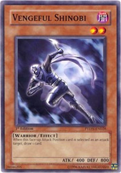Vengeful Shinobi