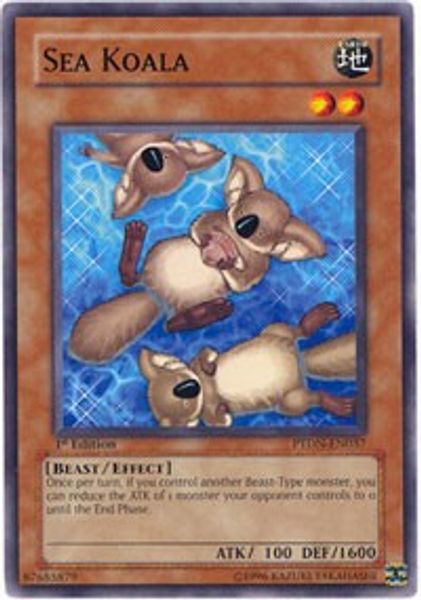 Sea Koala