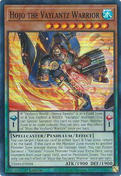 Hojo the Vaylantz Warrior