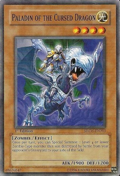 Paladin of the Cursed Dragon