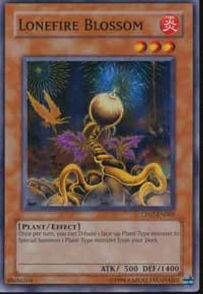 Lonefire Blossom