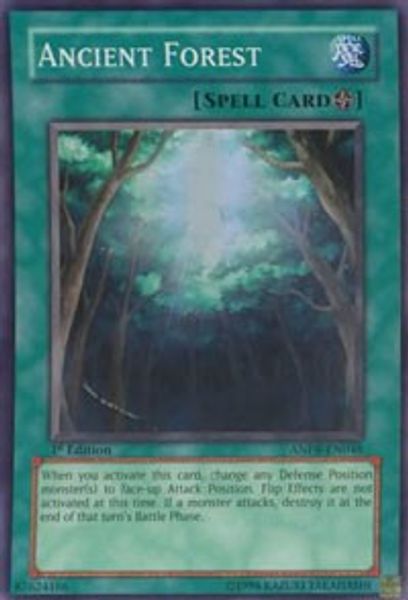 Ancient Forest