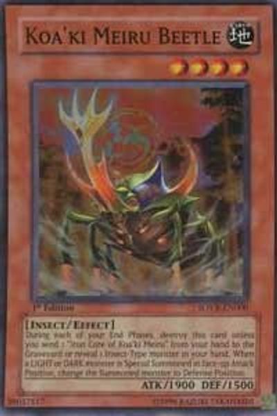 Koa'ki Meiru Beetle