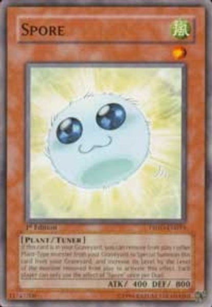 Spore
