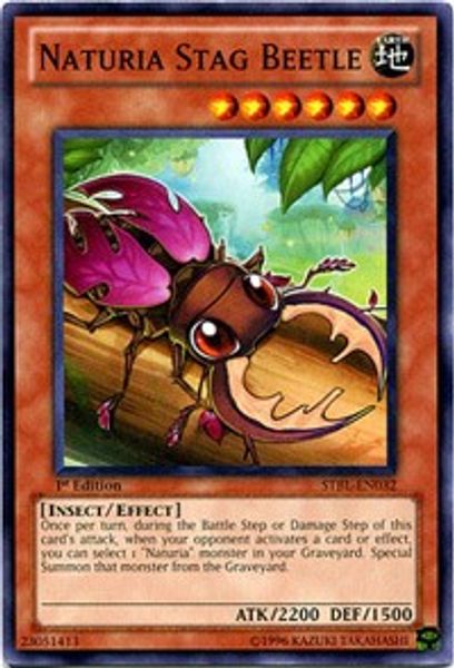Naturia Stag Beetle