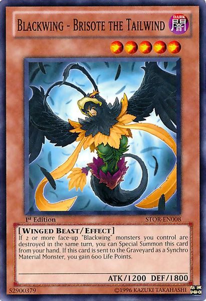 Blackwing - Brisote the Tailwind