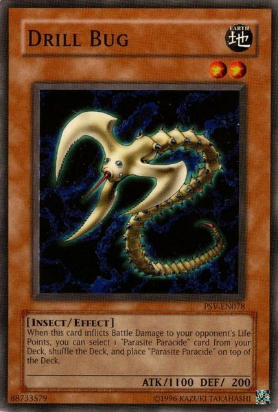 Drill Bug