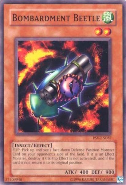 Bombardment Beetle