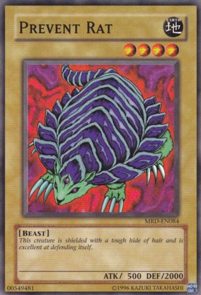 Prevent Rat