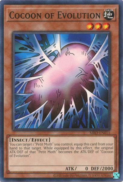 Cocoon of Evolution