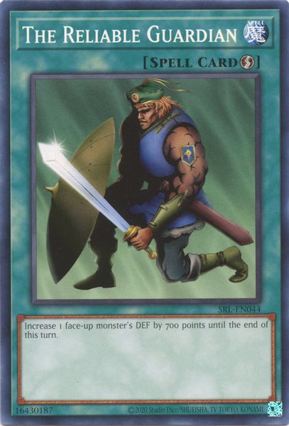 The Reliable Guardian