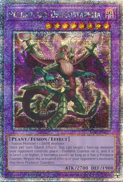 Predaplant Dragostapelia