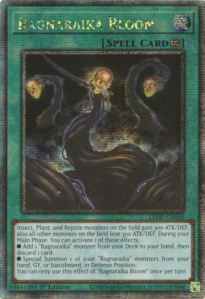 Ragnaraika Bloom