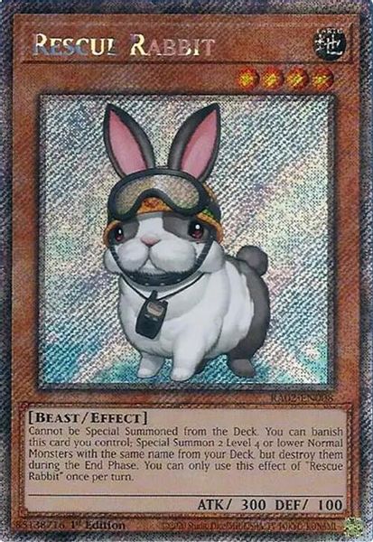 Rescue Rabbit