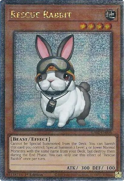 Rescue Rabbit