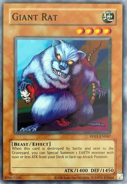 Giant Rat