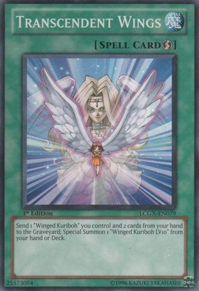 Transcendent Wings