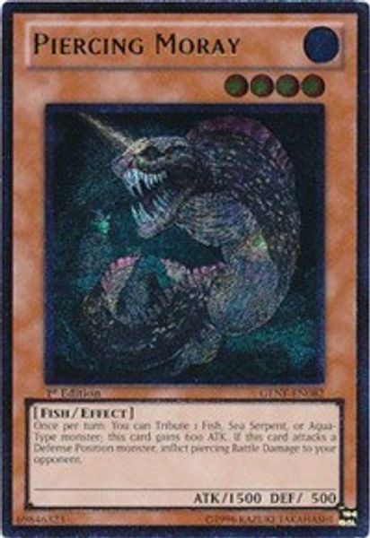 Piercing Moray