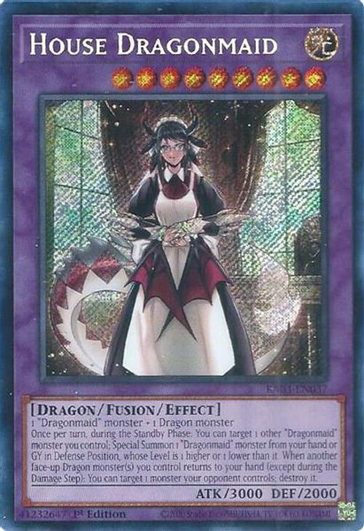 House Dragonmaid