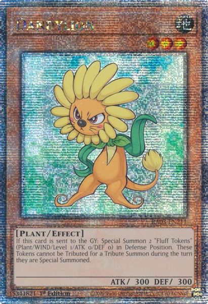 Dandylion