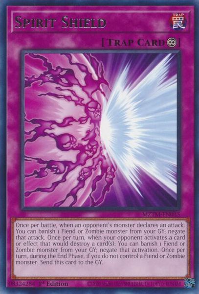 Spirit Shield