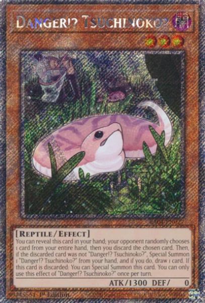 Danger!? Tsuchinoko?