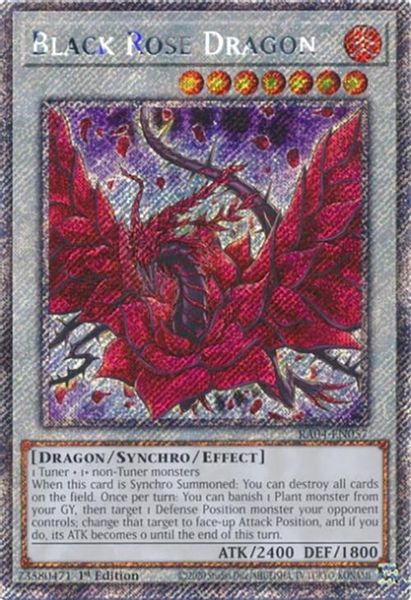 Black Rose Dragon
