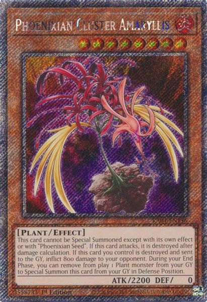 Phoenixian Cluster Amaryllis